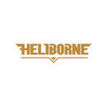 Heliborne STEAM Key