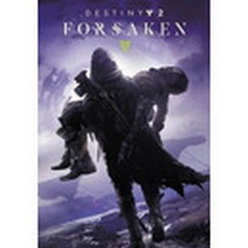 Destiny 2 Forsaken STEAM Key