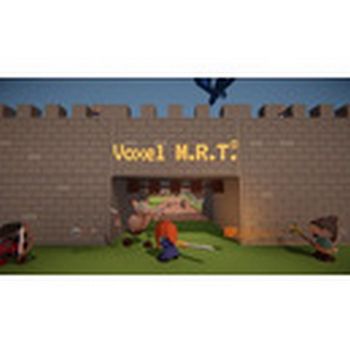 Voxel M.R.T.  Steam