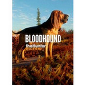 theHunter: Call of the Wild - Bloodhound