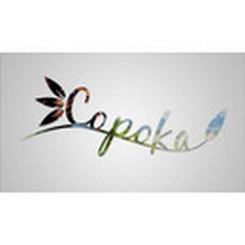 Copoka Steam key