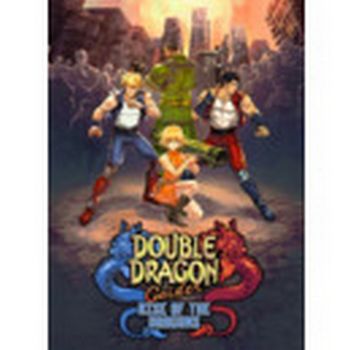 Double Dragon Gaiden: Rise of the Dragons