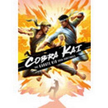 Cobra Kai: The Karate Kid Saga Continues