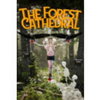 The Forest Cathedral