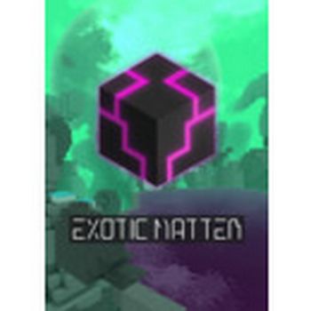 Exotic Matter