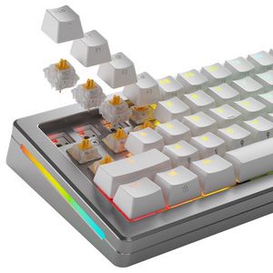 Glorious Panda Silent Switches, mechanical, 5-pin, tactile, MX-Stem, 50g - lubed, 36 pieces