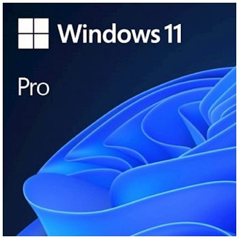 Microsoft Windows Pro 11 FPP English, USB