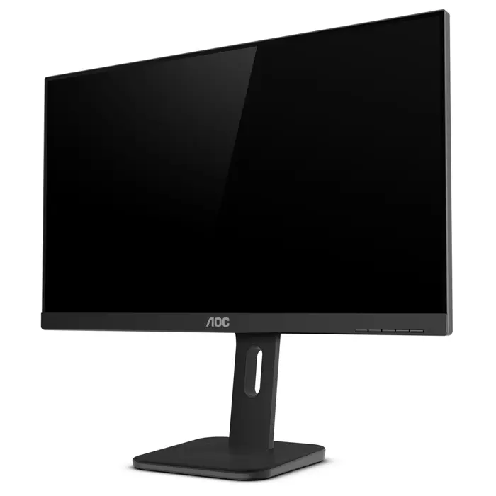 aoc-p1-24p1-computer-monitor-605-cm-238-1920-x-1080-pixels-f-88302-wlononwcrdg15.webp