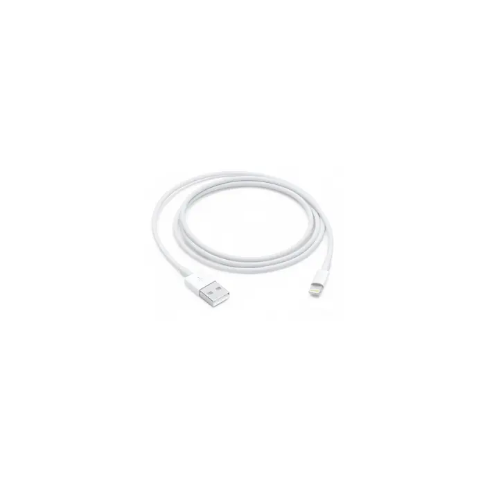 Apple Lightning to USB Cable (1В m)