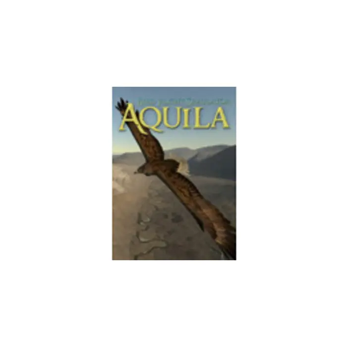 Aquila Bird Flight Simulator