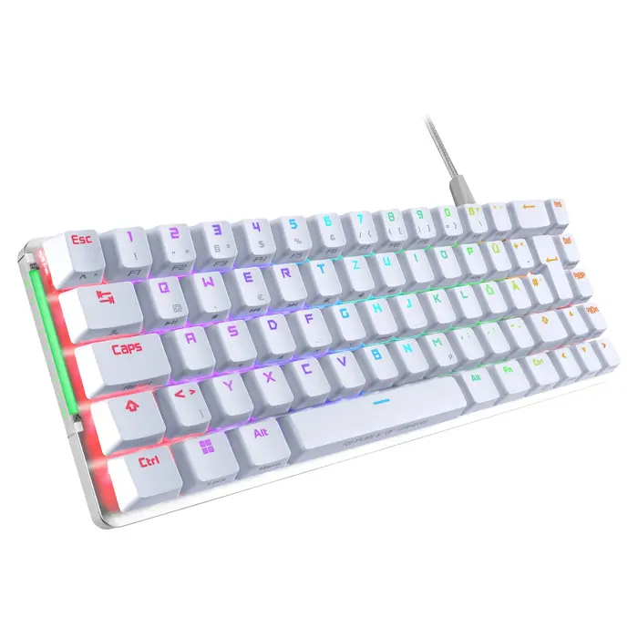 asus-rog-falchion-ace-wht-keyboard-gaming-usb-qwertz-german--36689-wlononwcr9817.webp