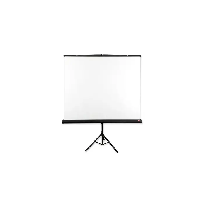 Avtek Tripod Standard 200 projection screen 1:1