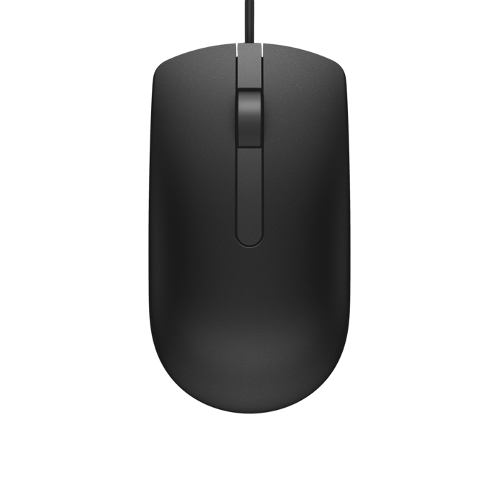 DELL MS116 mouse Ambidextrous USB Type-A Optical 1000 DPI