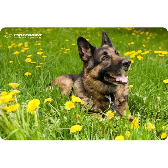 esperanza-ea133-mouse-pad-multicolor-48781-artesppod0001.webp