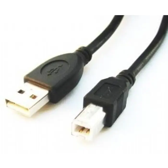 gembird-ccp-usb2-ambm-6-usb-cable-182-m-usb-a-usb-b-black-50246-kabgemusb0025.webp