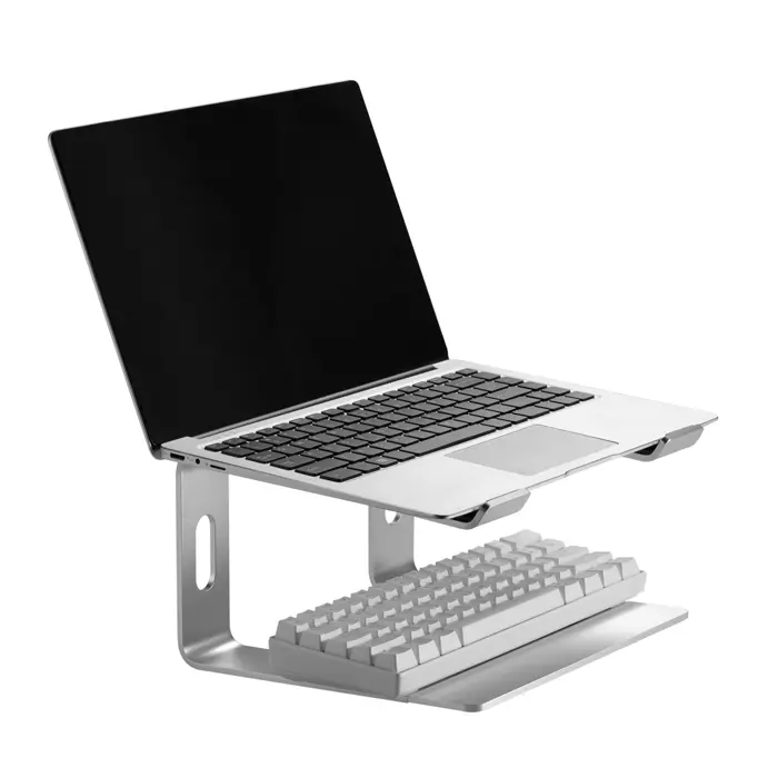 gembird-nbs-d1-01-laptop-stand-aluminium-silver-396-cm-156-56100-chlgempod0009.webp