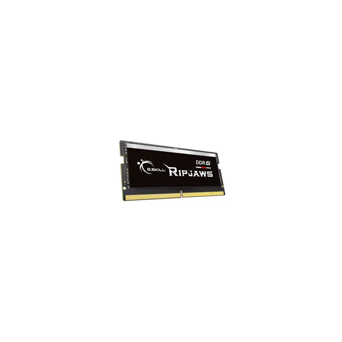 gskill-ripjaws-f5-4800s3434a16gx1-rs-memory-module-16-gb-1-x-53458-pamgsksoo0055.webp