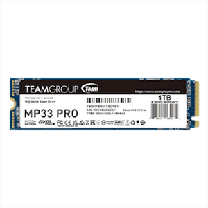 Team Group MP33 Pro NVMe SSD, PCIe 3.0 M.2 Typ 2280 - 1 TB-TM8FPD001T0C101