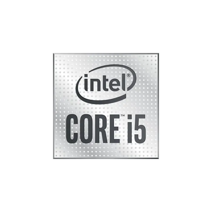 Intel Core i5-10400 processor 2.9 GHz 12 MB Smart Cache Box