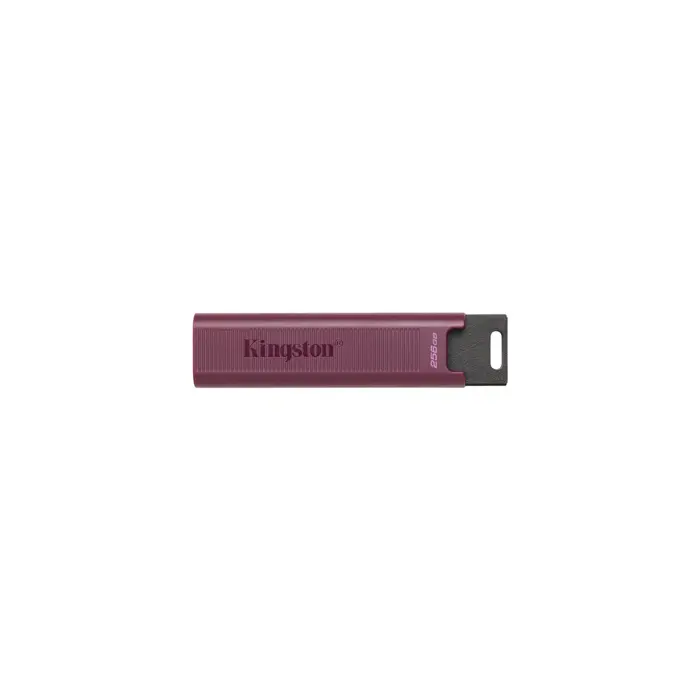 kingston-1tb-usb32-typea-datatraveler-16290-46049223.webp