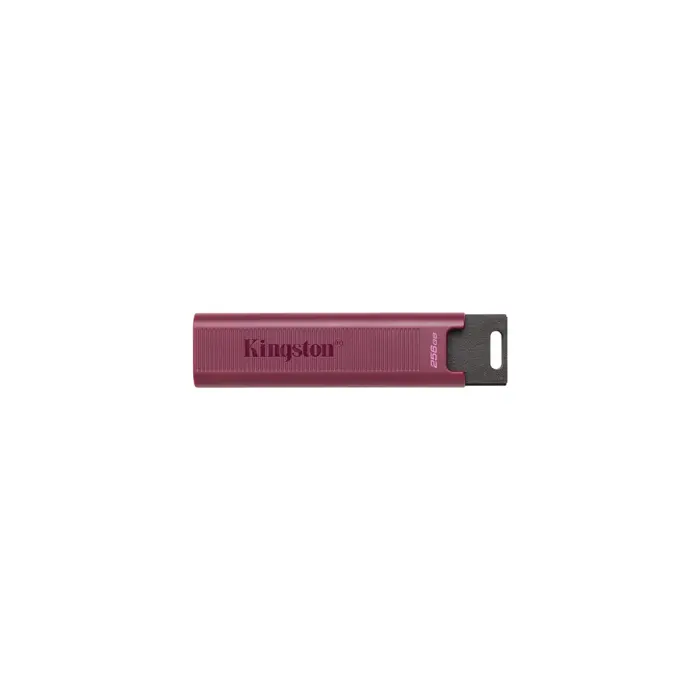 kingston-256gb-usb32-typea-datatraveler-15679-46049221.webp