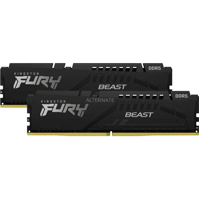 Kingston Fury Beast Black, DDR5-6000, CL36 - 64 GB Dual-Kit, schwarz-KF560C36BBEK2-64