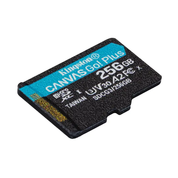 kingston-technology-256gb-microsdxc-canvas-go-plus-170r-a2-u-47309-pamkinsdg0242.webp