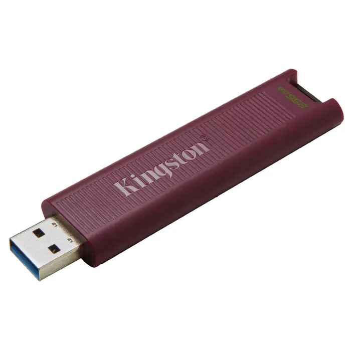 kingston-technology-datatraveler-256gb-max-type-a-1000r900w--81522-pamkinfld0429.webp