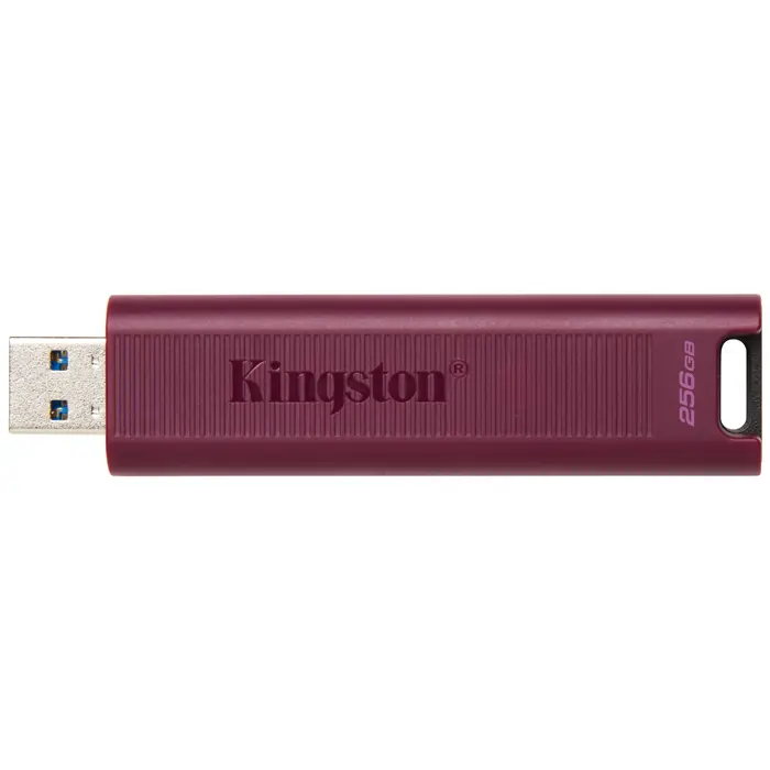 kingston-technology-datatraveler-256gb-max-type-a-1000r900w--83563-pamkinfld0429.webp