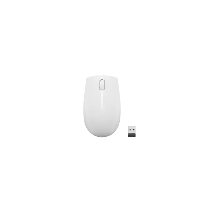 Lenovo 300 WIRELESS ?GREY mouse Office Ambidextrous RF Wireless Optical 1000 DPI