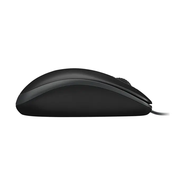 logitech-desktop-mk120-55782-wlononwcrane7.webp