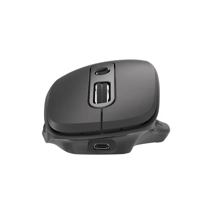 natec-wireless-mouse-euphonie-2400dpi-black-37878-wlononwcrckcb.webp