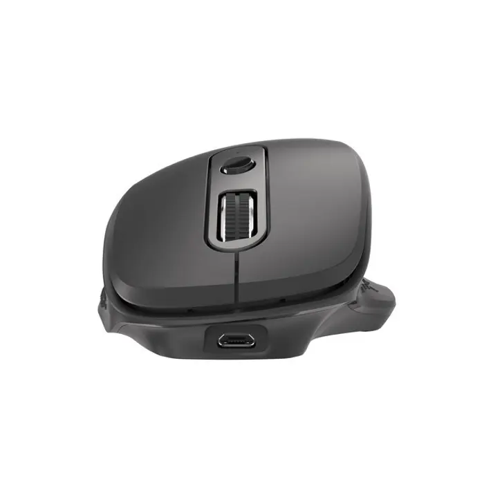 natec-wireless-mouse-euphonie-2400dpi-black-7643-wlononwcrckcb.webp