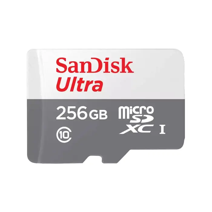 sandisk-ultra-256-gb-microsdxc-uhs-i-class-10-37517-pamsadsdg0360.webp