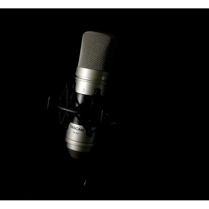 tascam-tm-80-microphone-gold-studio-microphone-72829-mistscmik0002.webp