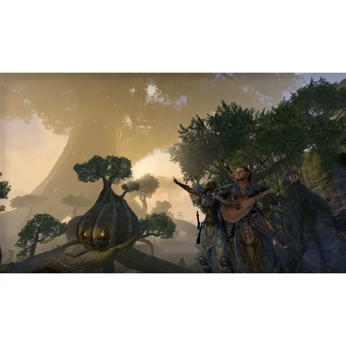 the-elder-scrolls-online-tamriel-unlimited-playstation-4-093-66747-cby-19009.webp